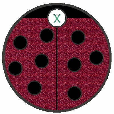 Little Lady Bug GLITTER