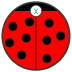 Little_Lady_Bug