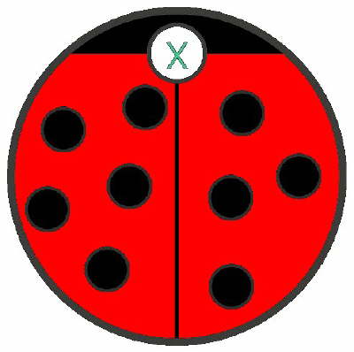Little_Lady_Bug
